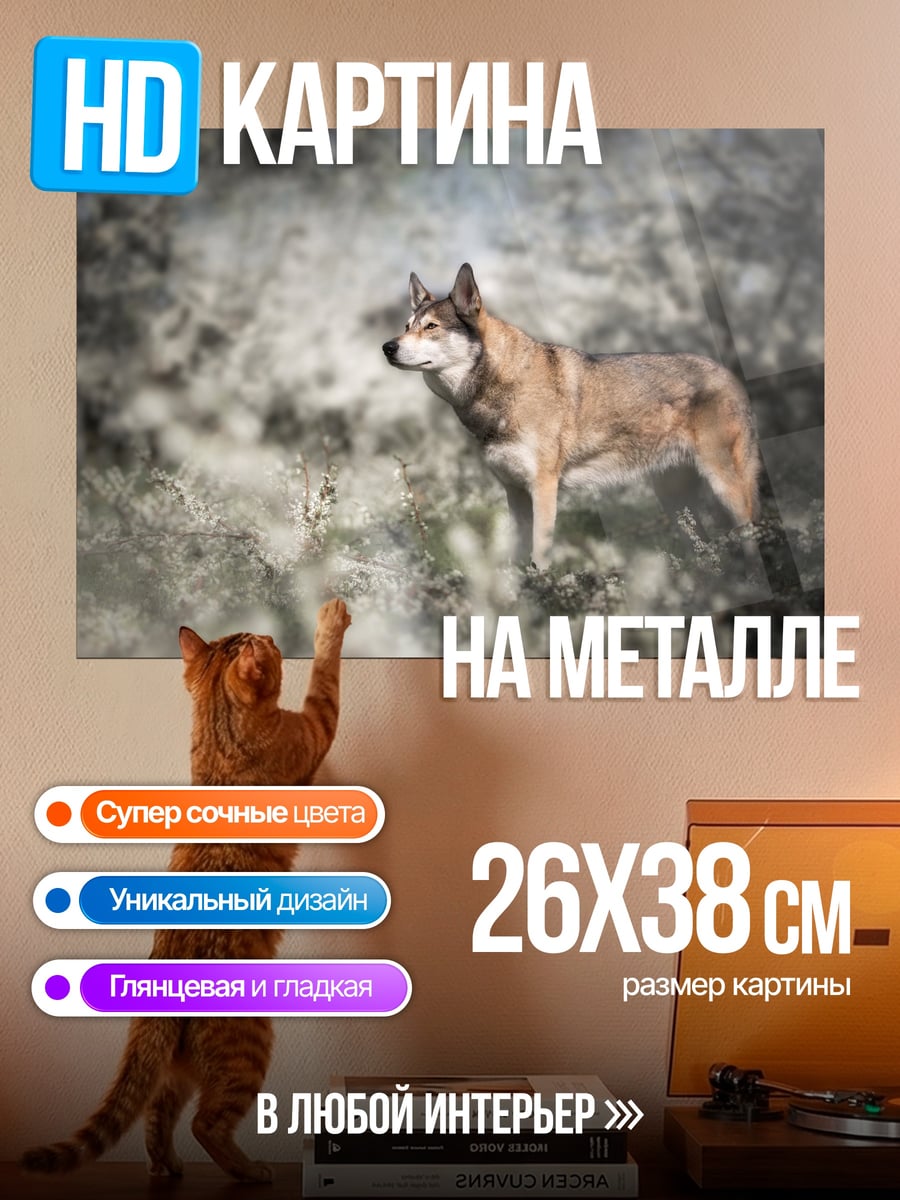 Картина на металле волк в лесу