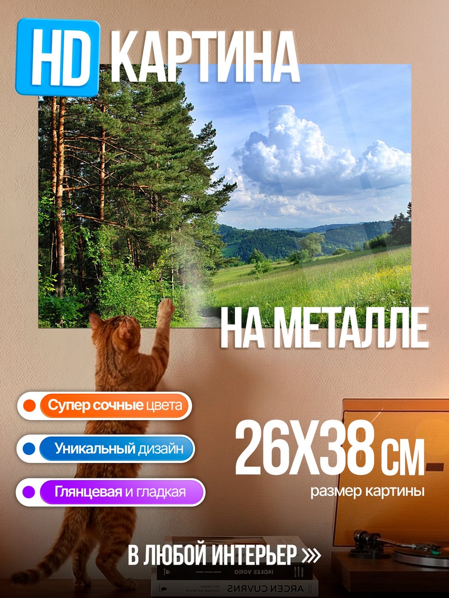 Картина на металле Лесная тропа