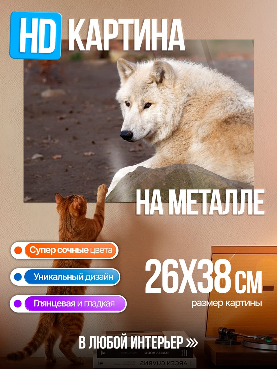 Картина на металле Белый волк