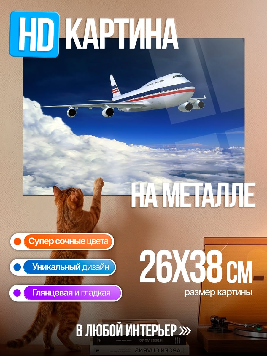 Картина на металле самолет в небе