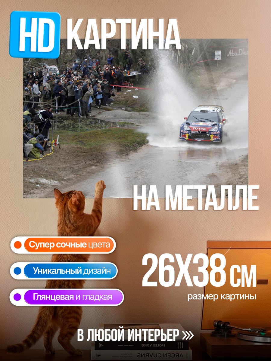 Картина на металле Ралли по бездорожью