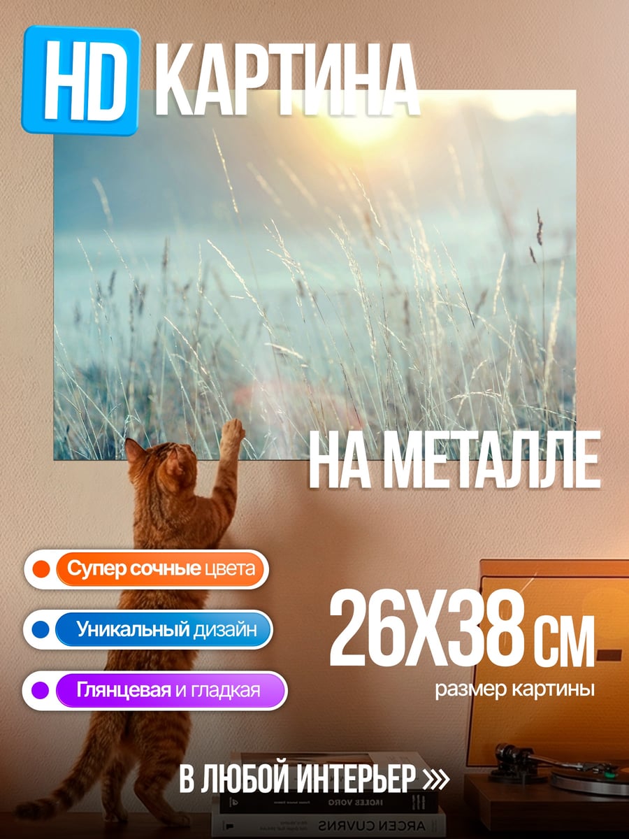Картина на металле Туманное утро