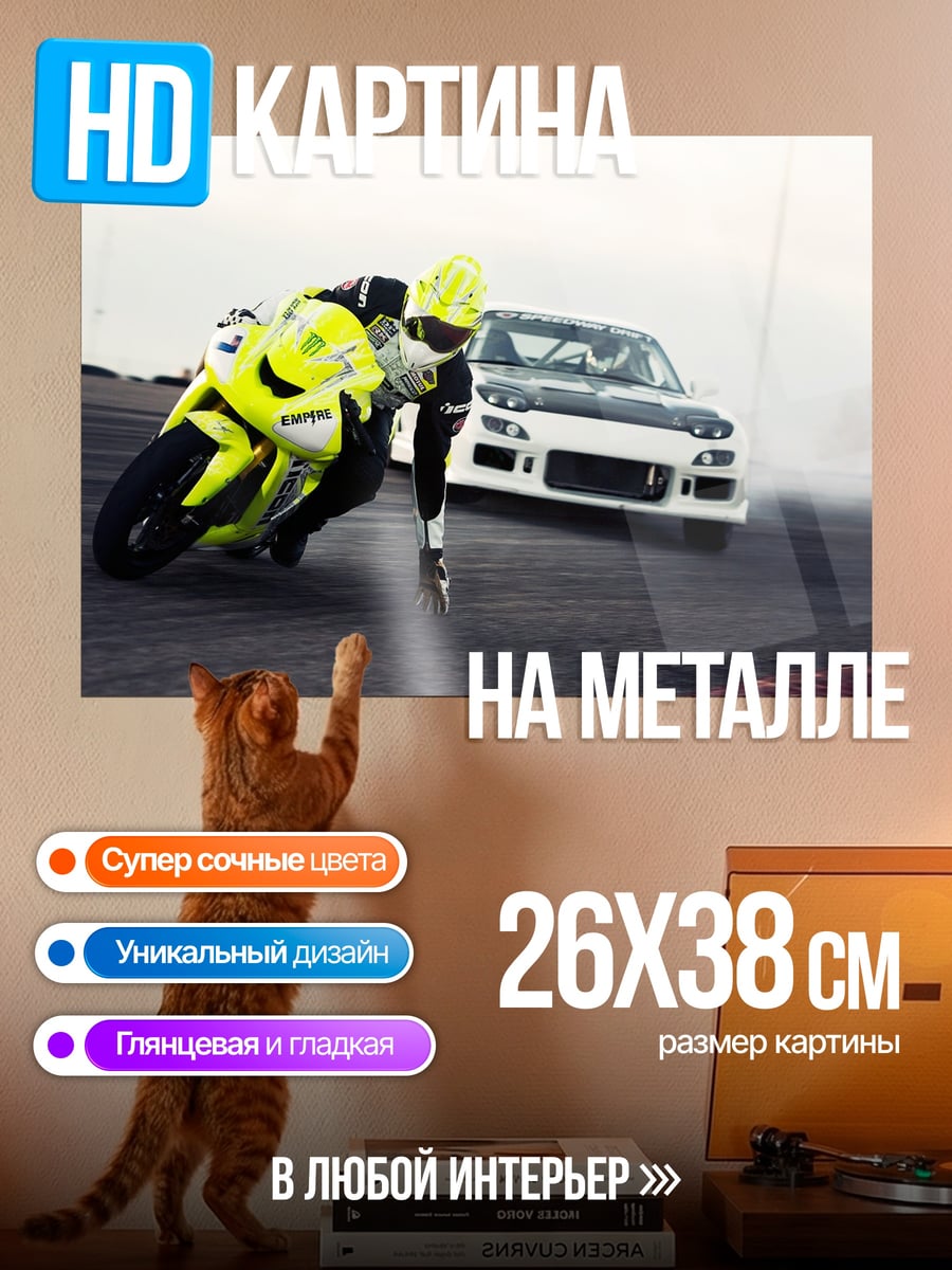 Картина на металле Гонка мотоцикла и авто