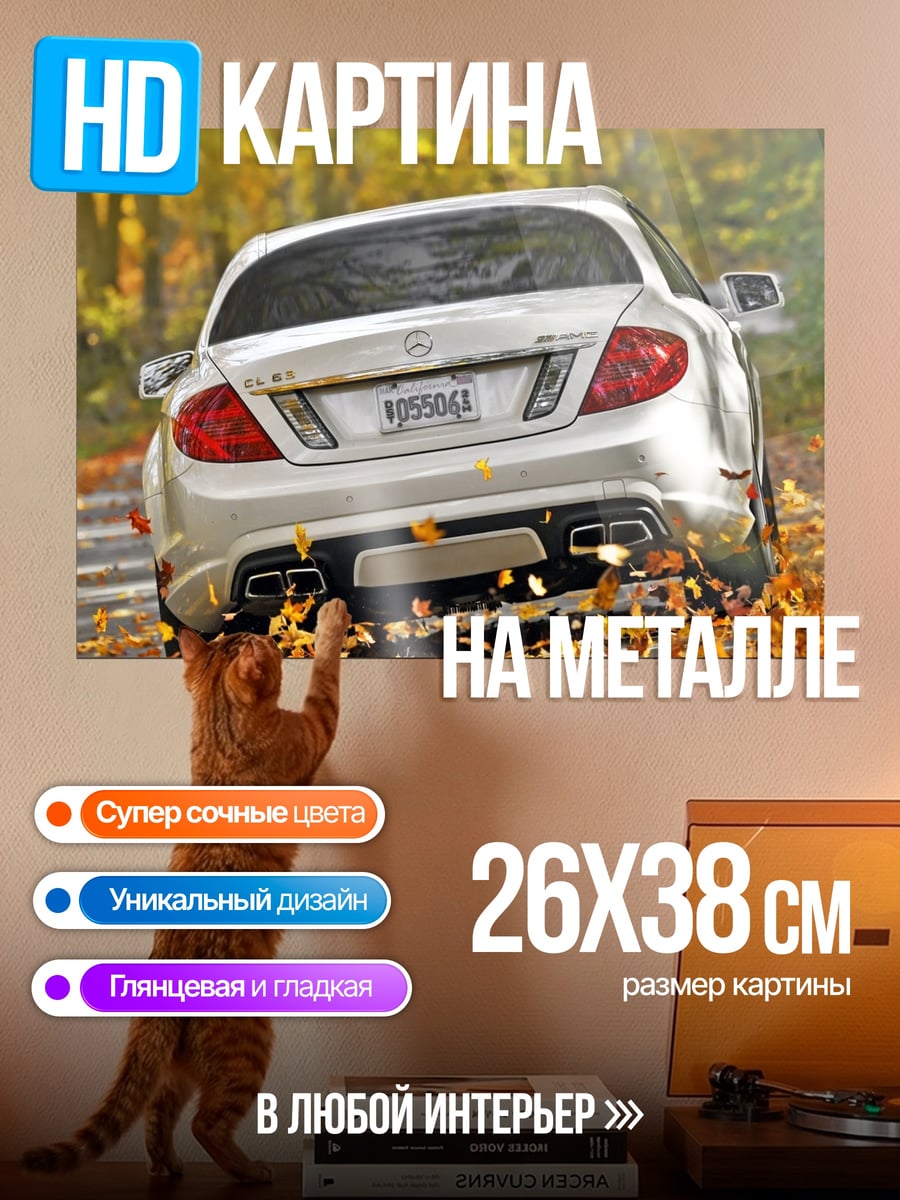 Картина на металле Спортивный автомобиль осенью