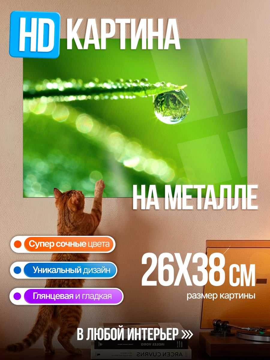 Картина на металле капля росы трава