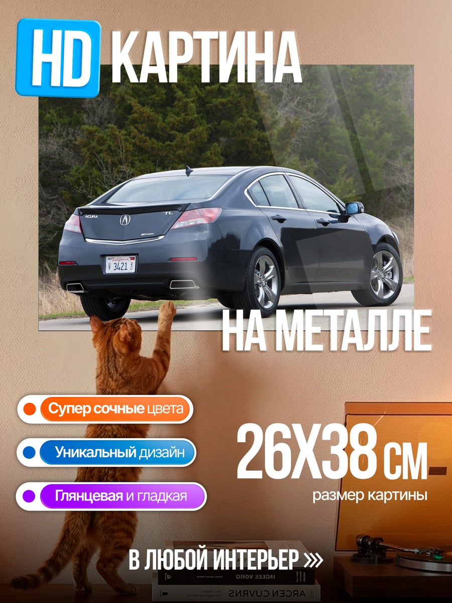Картина на металле темный седан вид сзади
