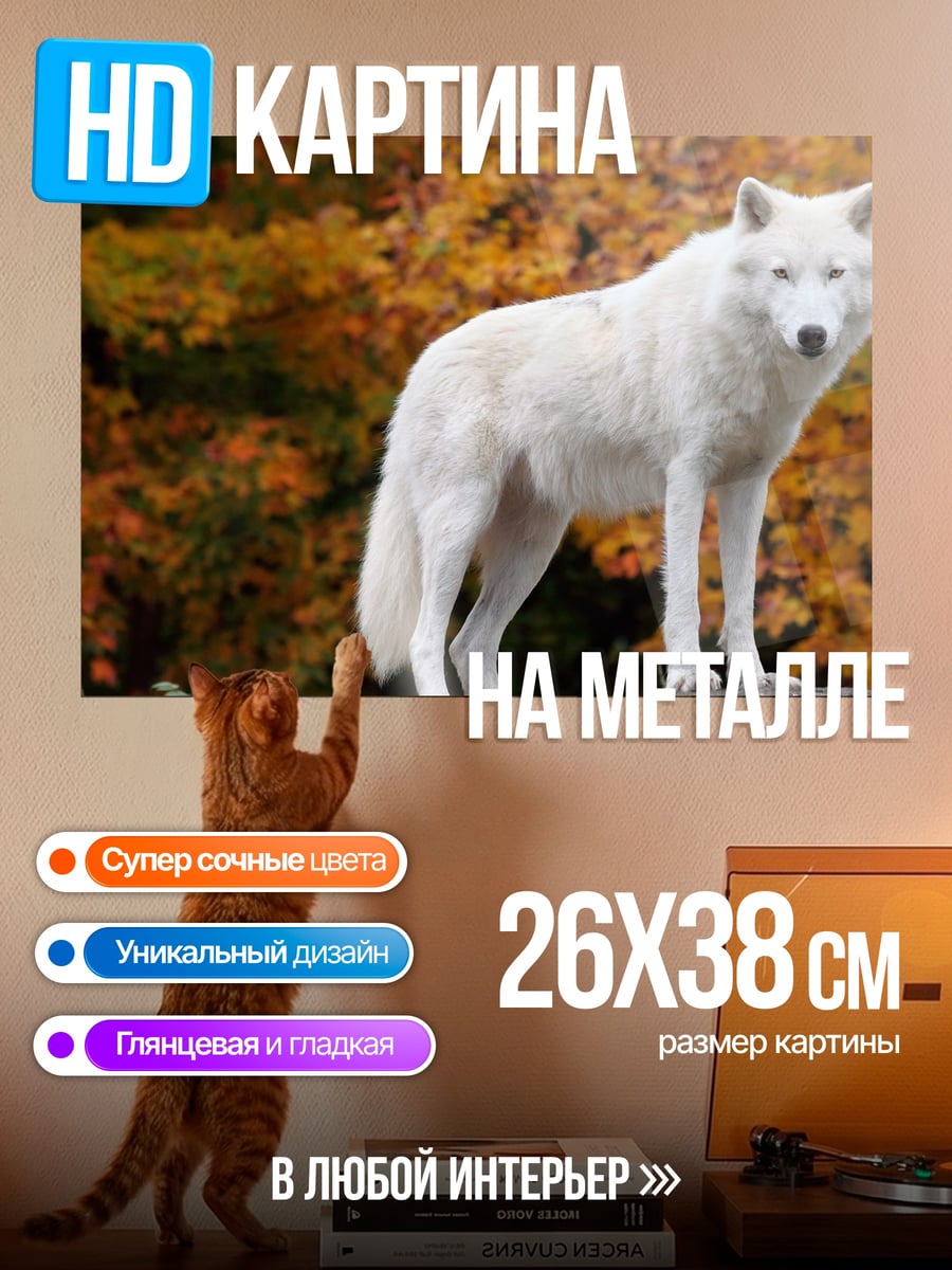 Картина на металле Белый волк