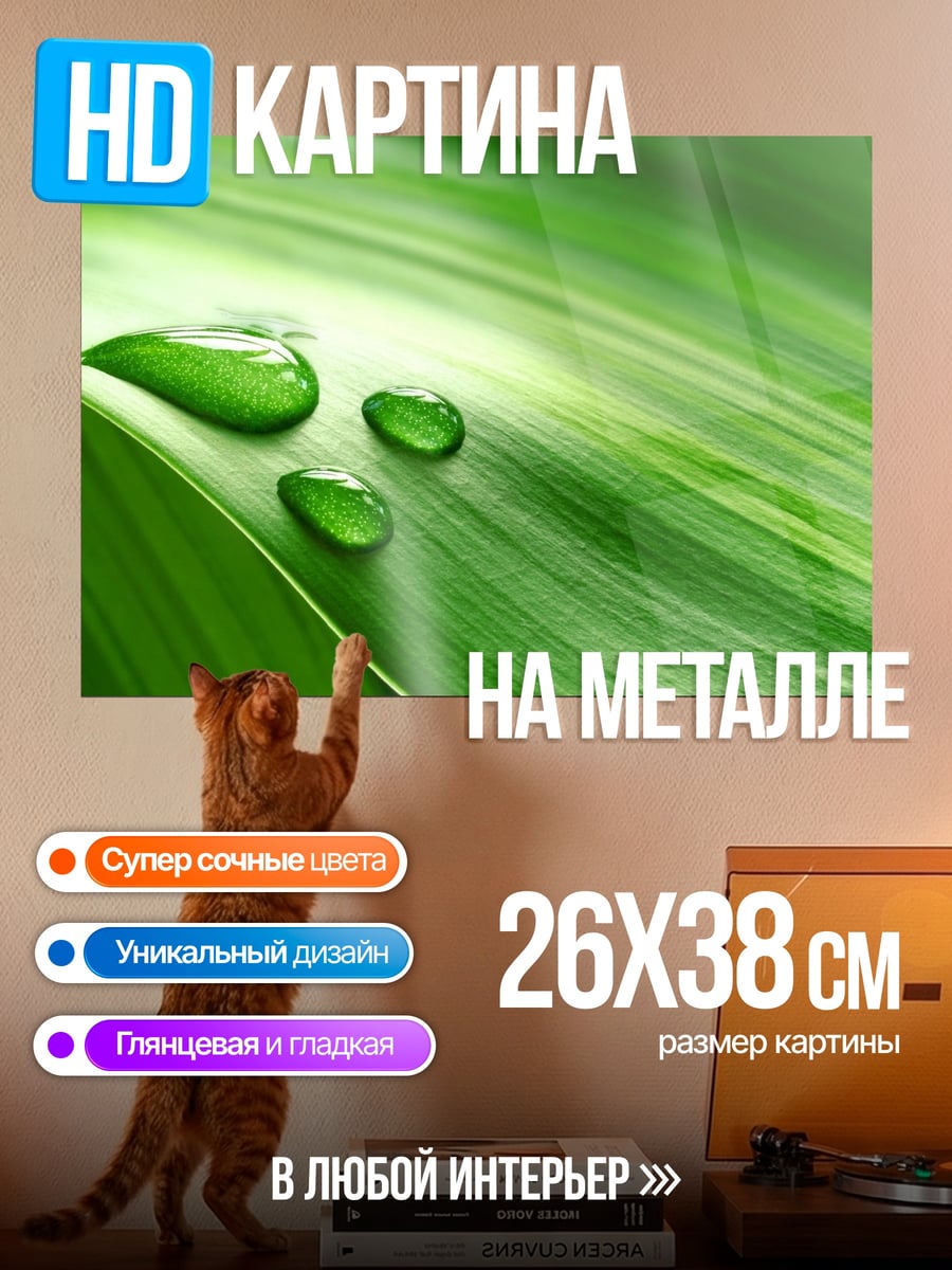 Картина на металле Капли на листе