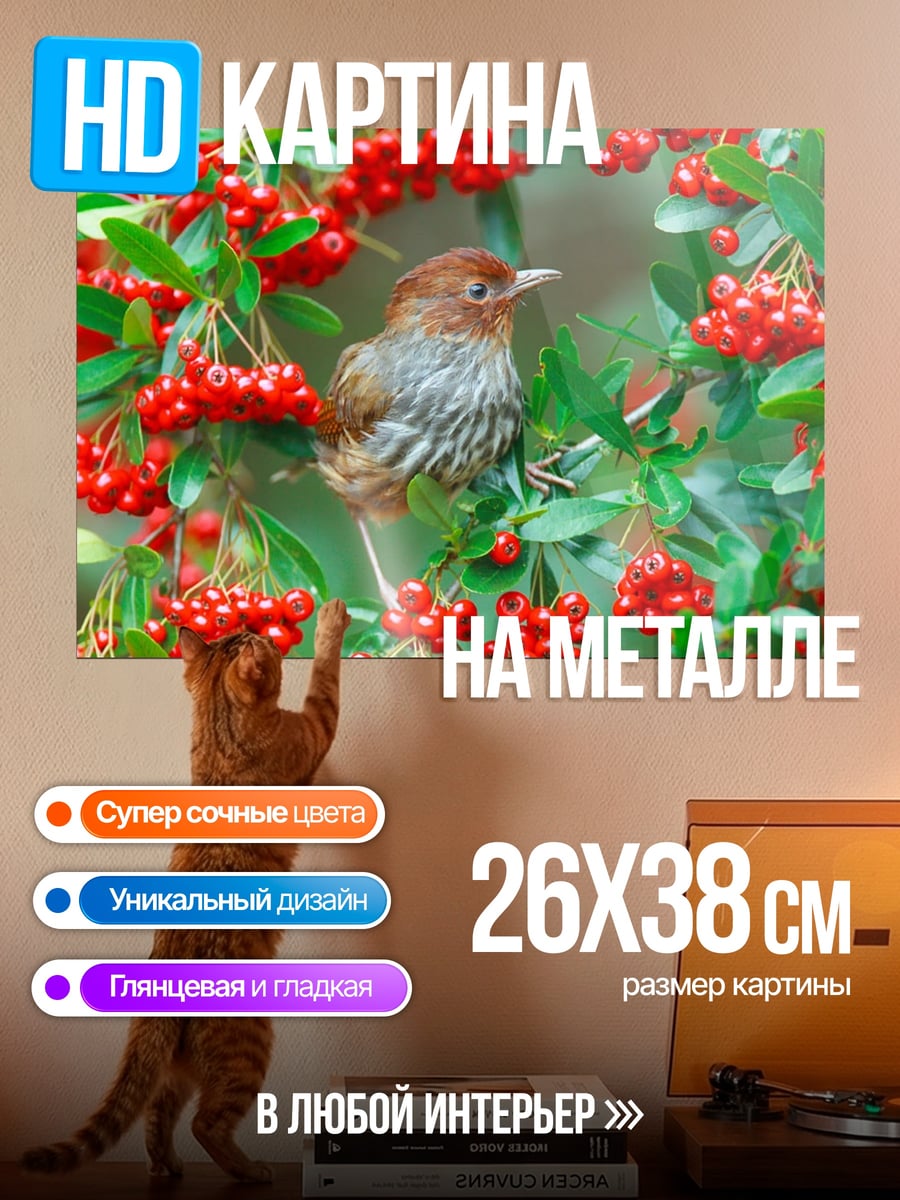 Картина на металле Птица на ветке