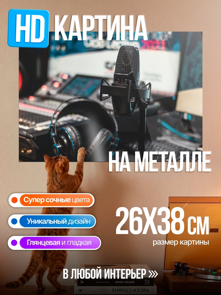 Картина на металле Студийное оборудование