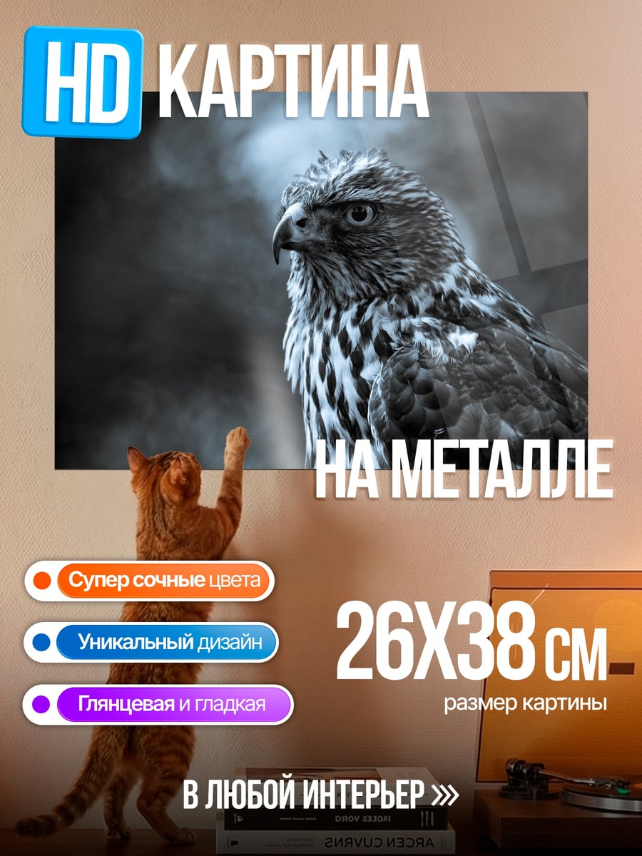 Картина на металле Хищная птица
