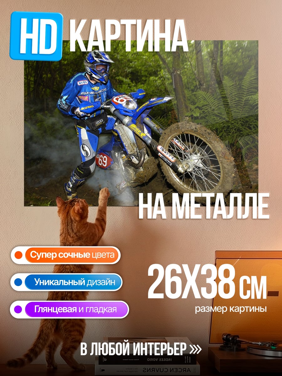 Картина на металле Мотогонщик в лесу