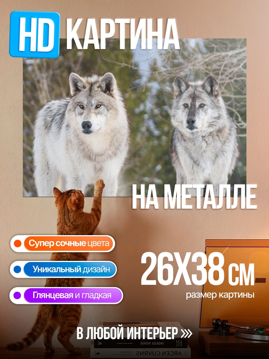 Картина на металле два волка