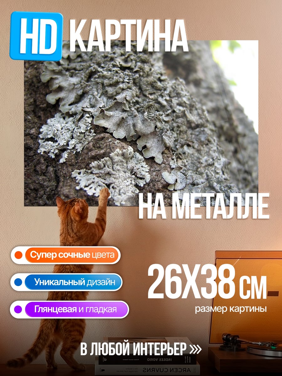 Картина на металле лишайник на коре