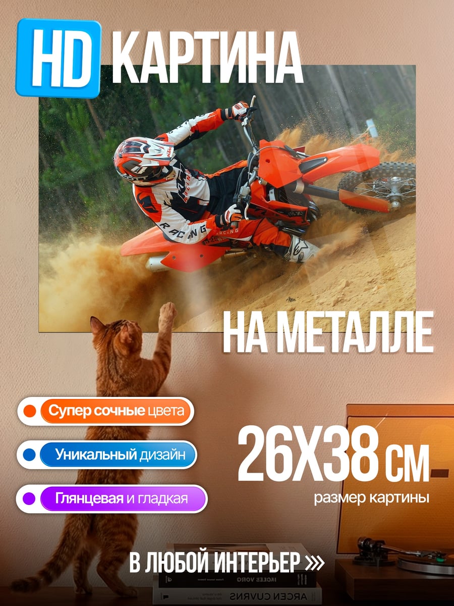 Картина на металле мотоциклист в грязи