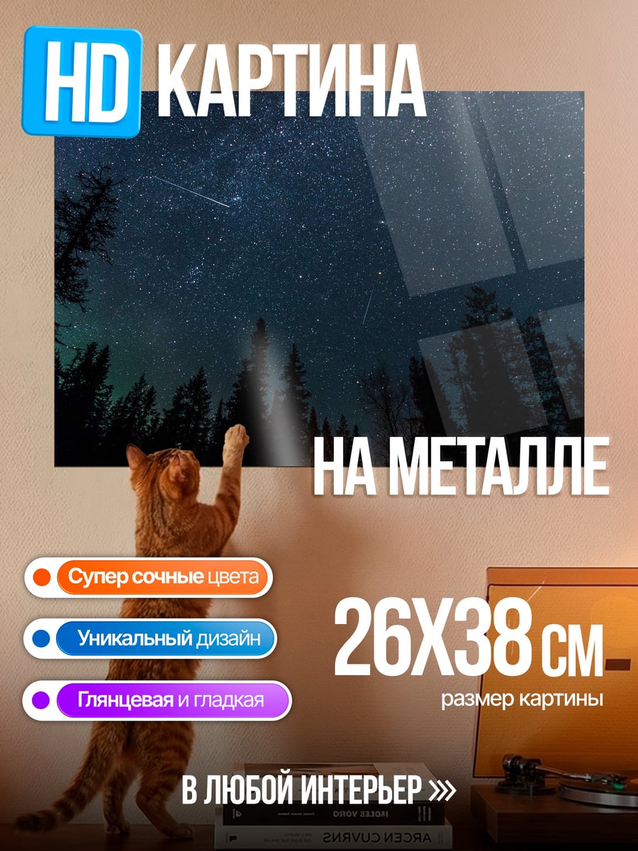 Картина на металле Ночной лес
