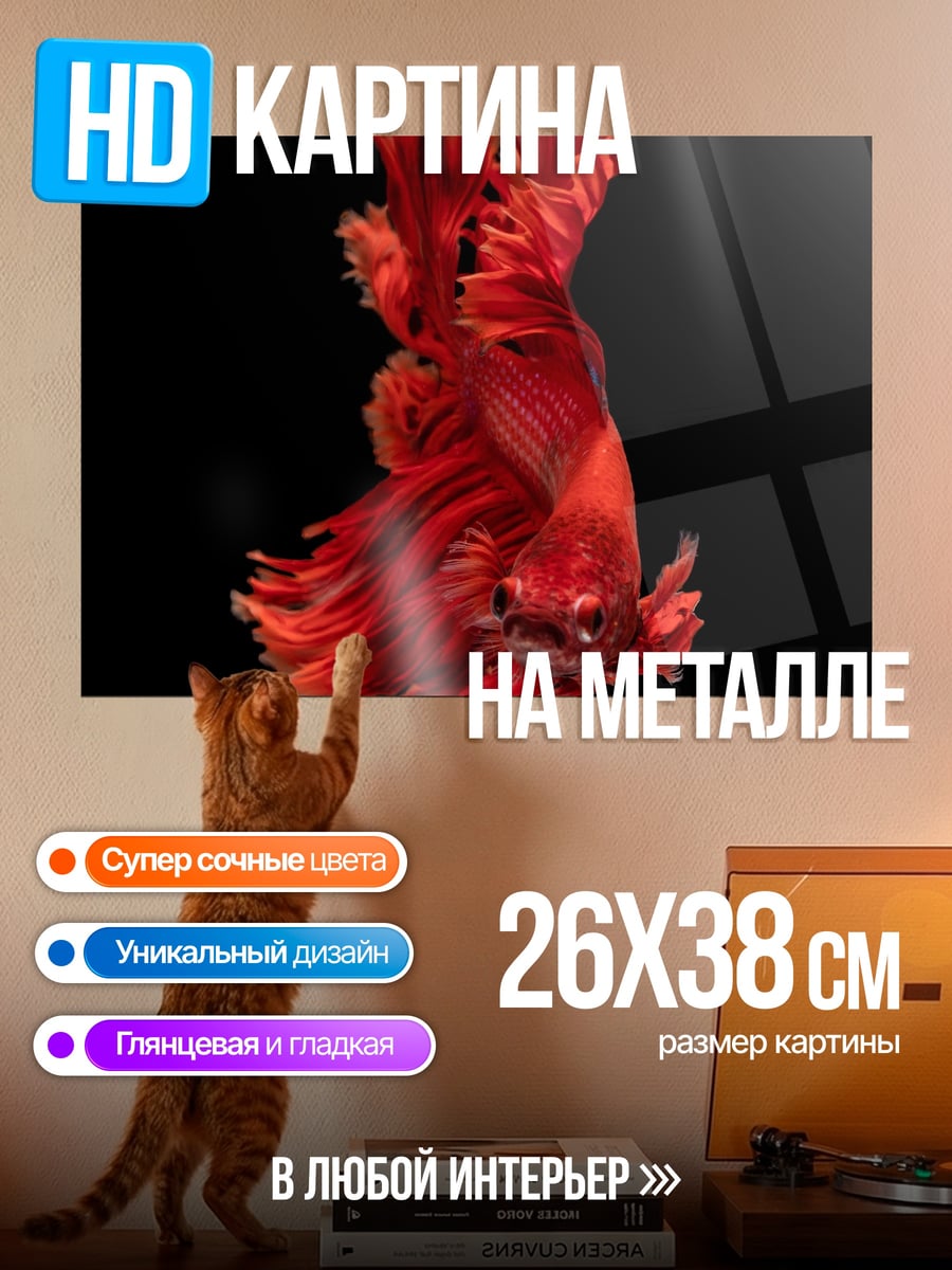 Картина на металле Красная бойцовая рыбка
