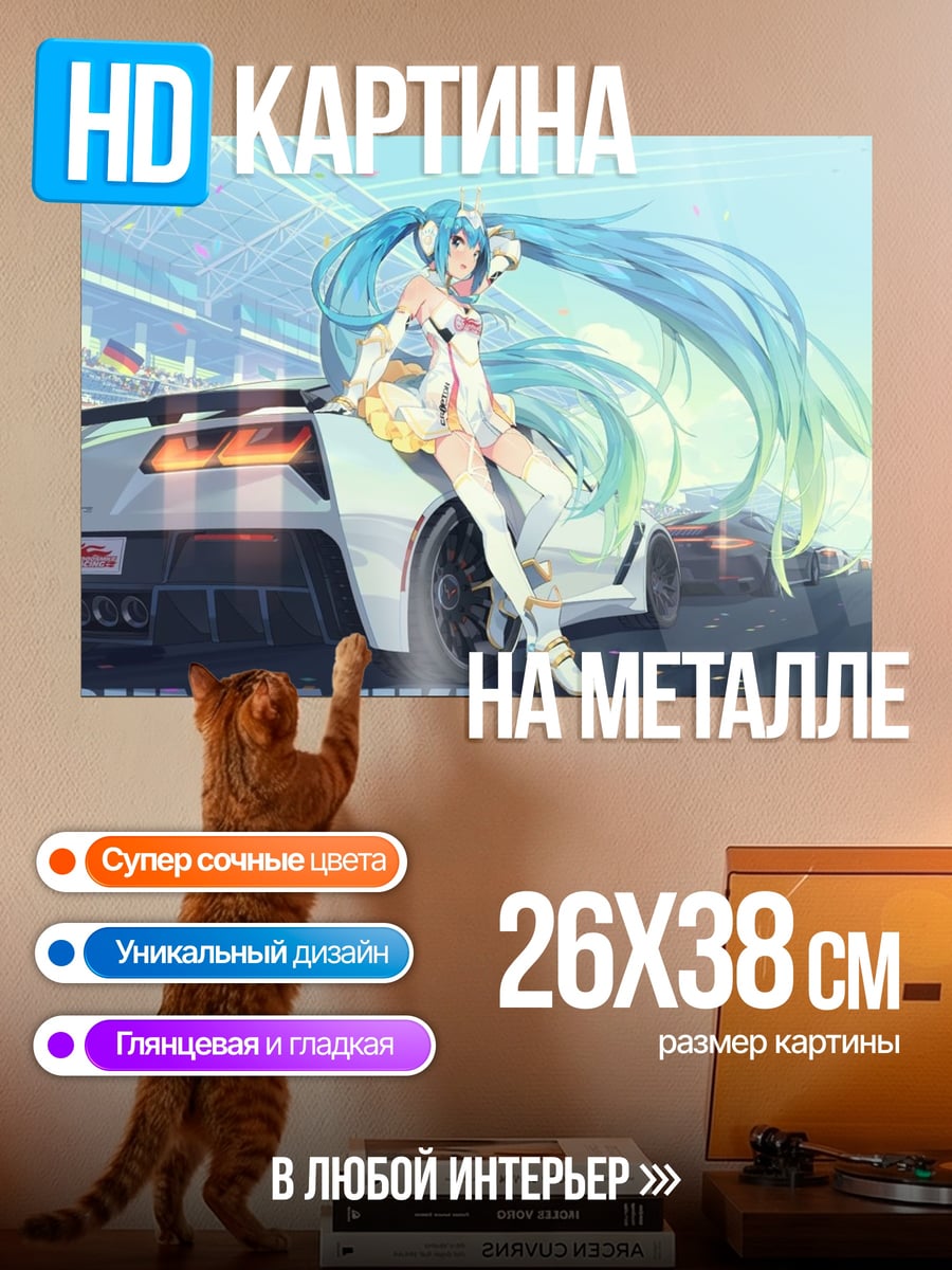 Картина на металле Мику рейсинг