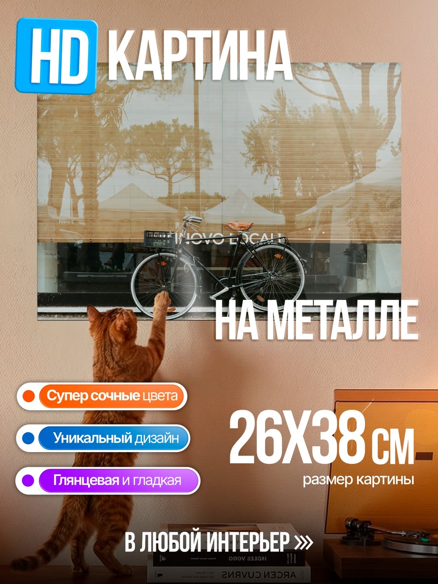 Картина на металле Велосипед в парке