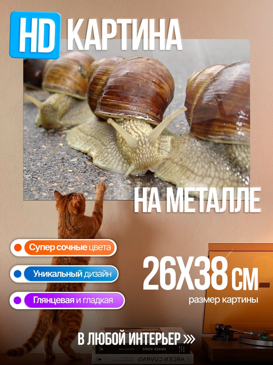 Картина на металле Улитки на асфальте
