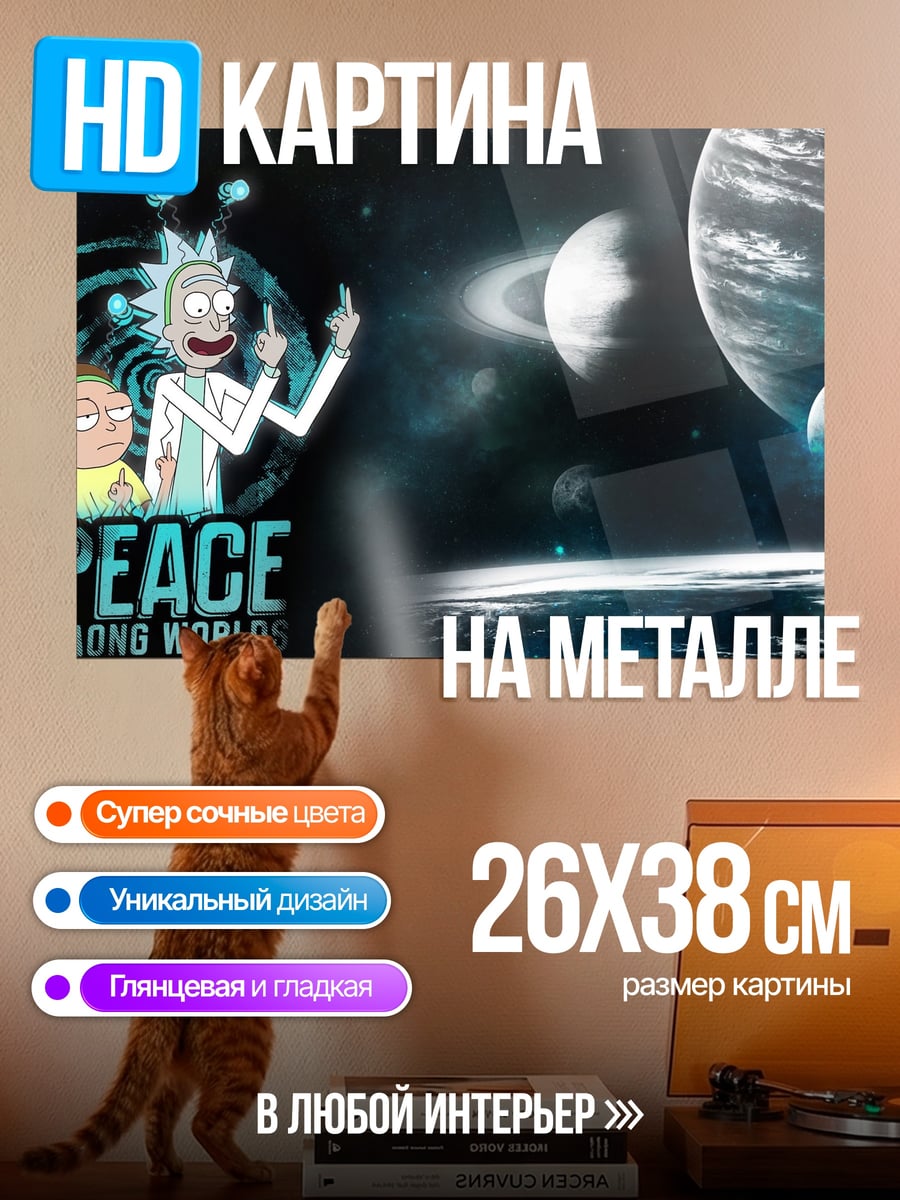 Картина на металле Рик и Морти космос
