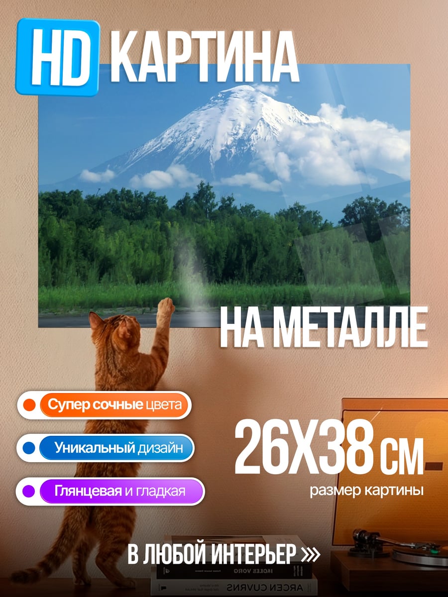Картина на металле Снежная гора и лес