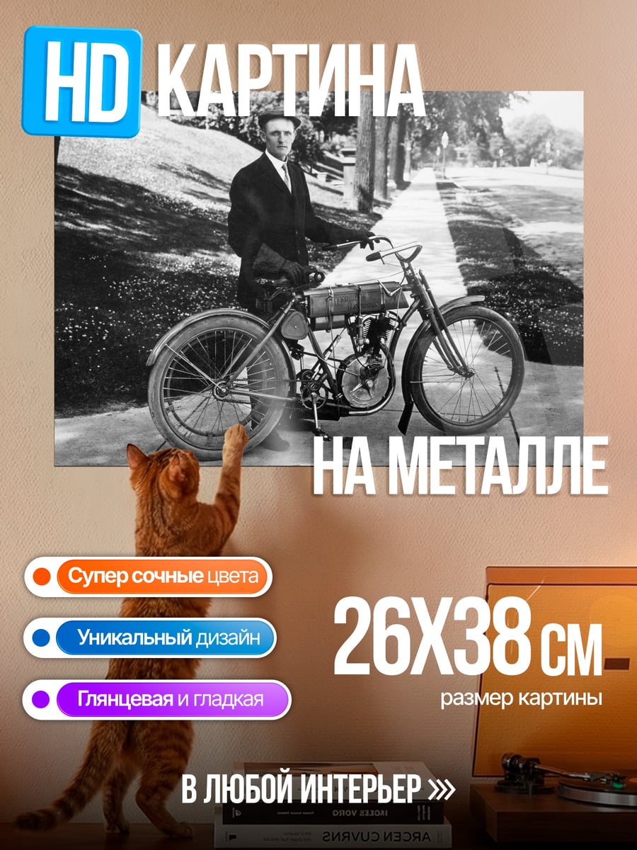Картина на металле Мужчина с мотоциклом