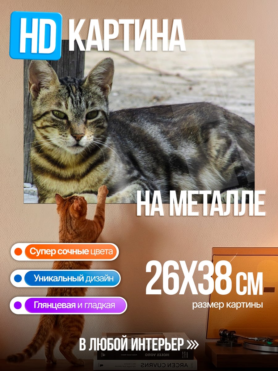 Картина на металле Лежащий кот