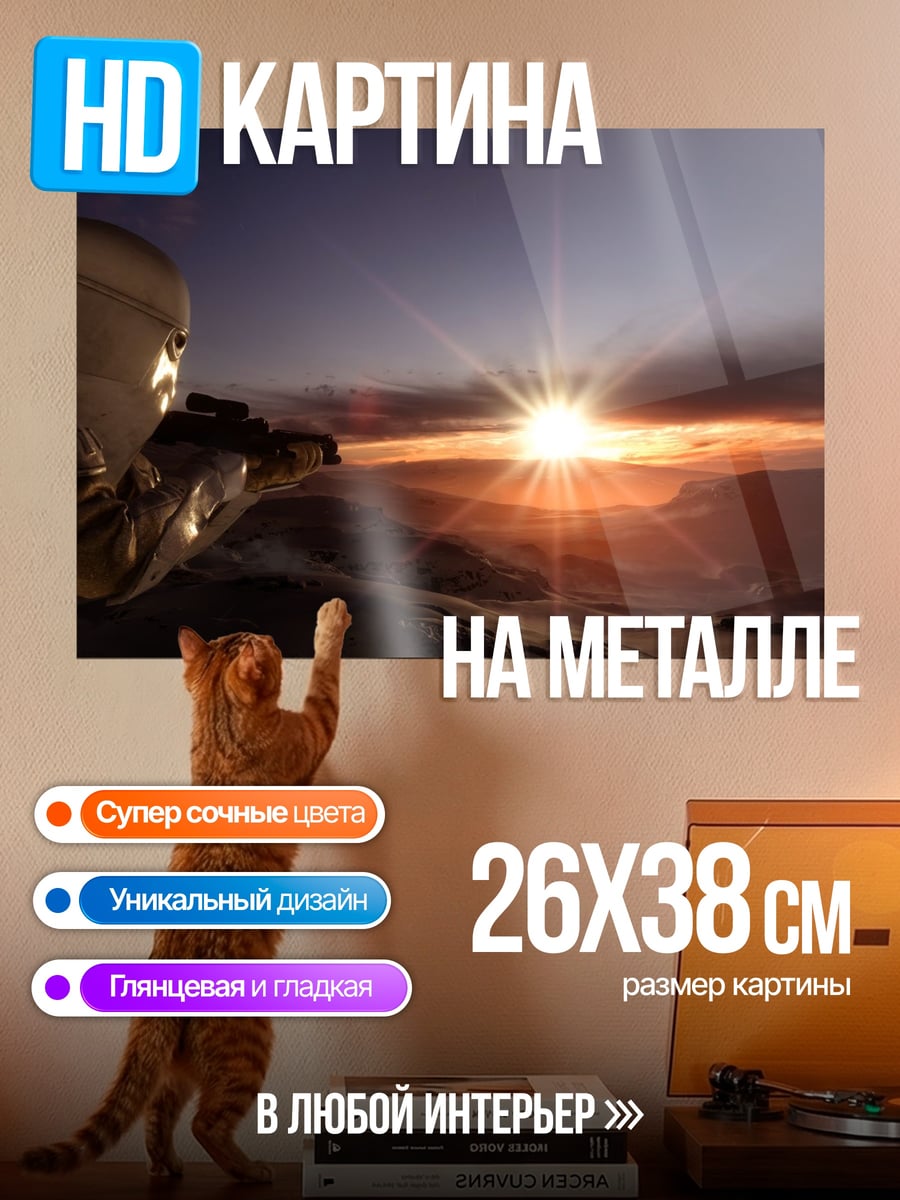 Картина на металле солдат на закате