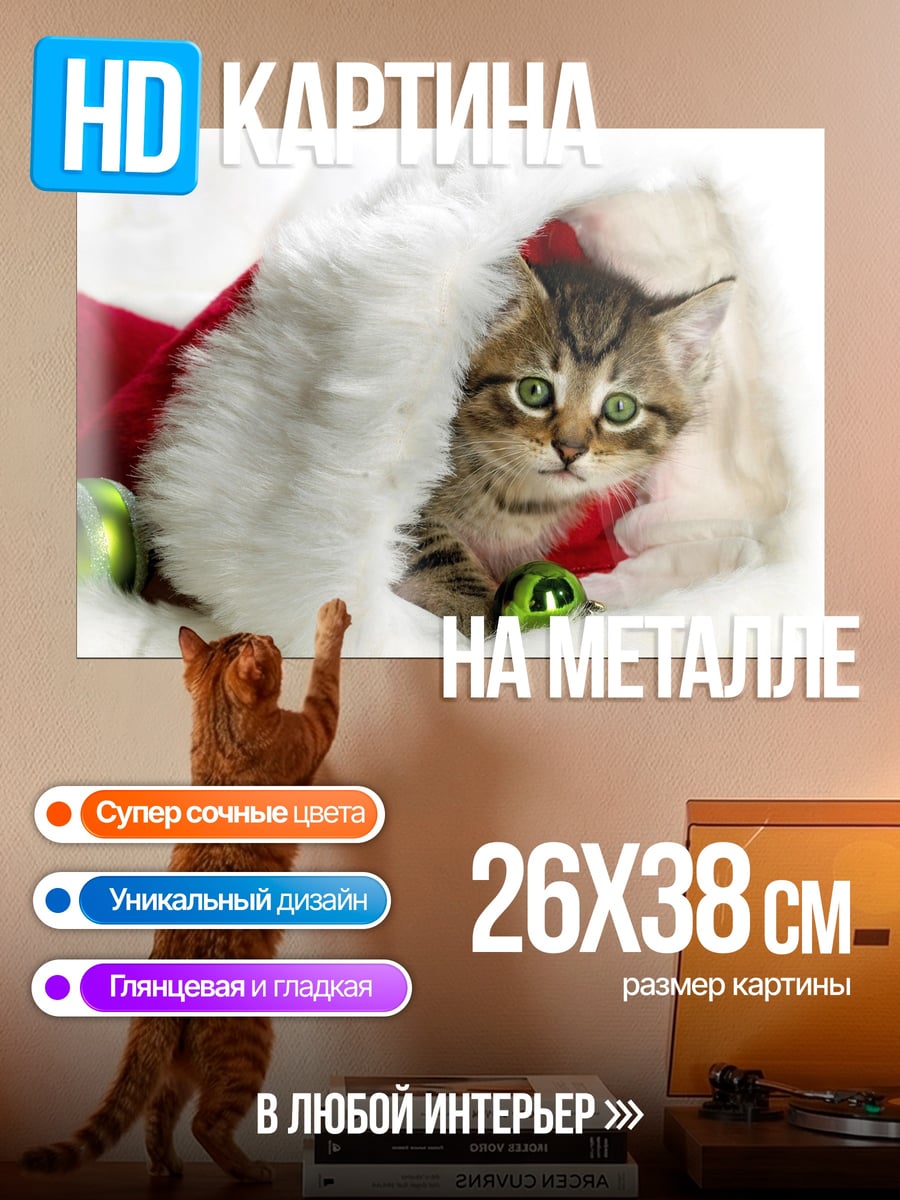 Картина на металле котенок в шапке