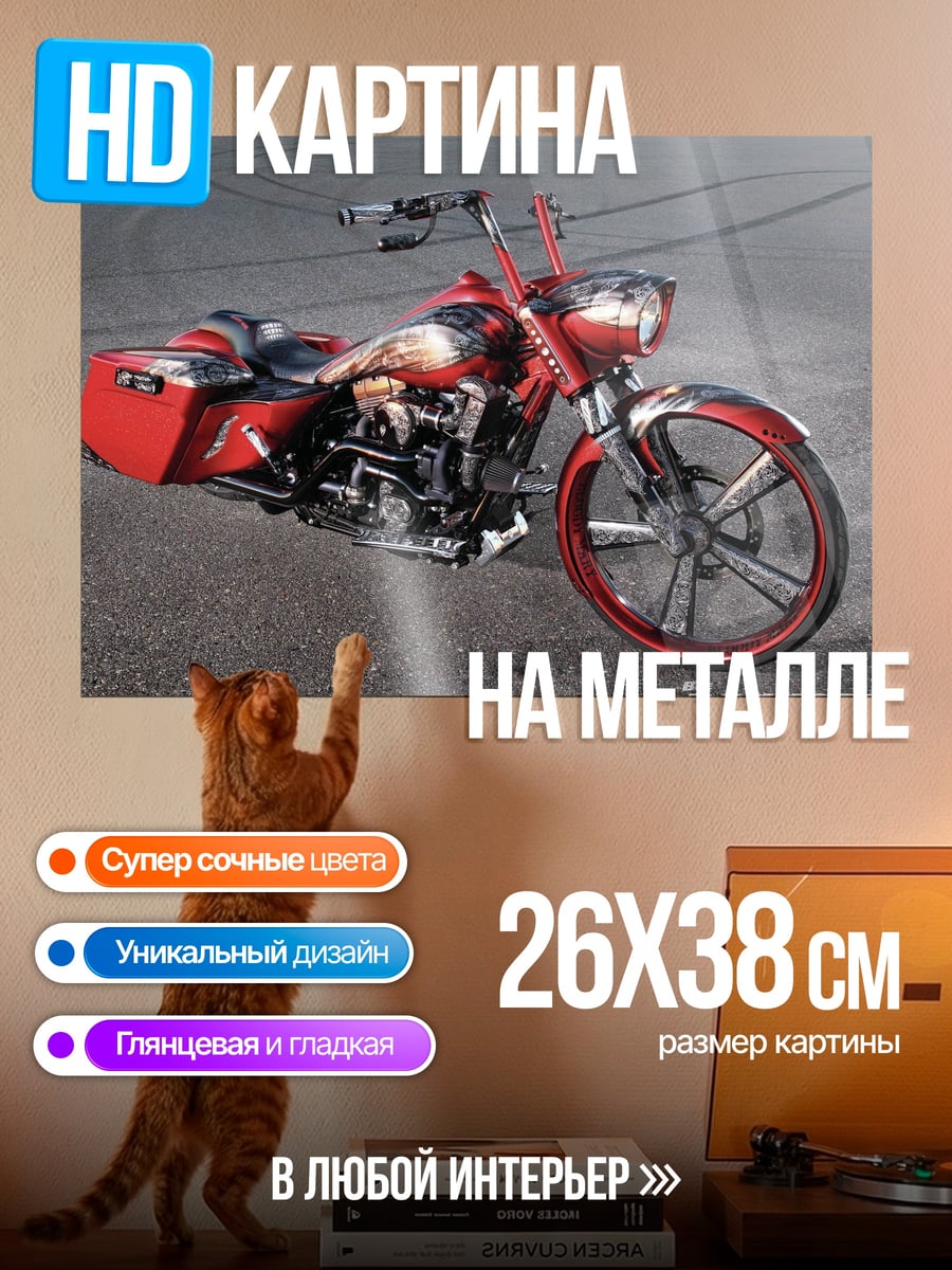 Картина на металле Красный байк