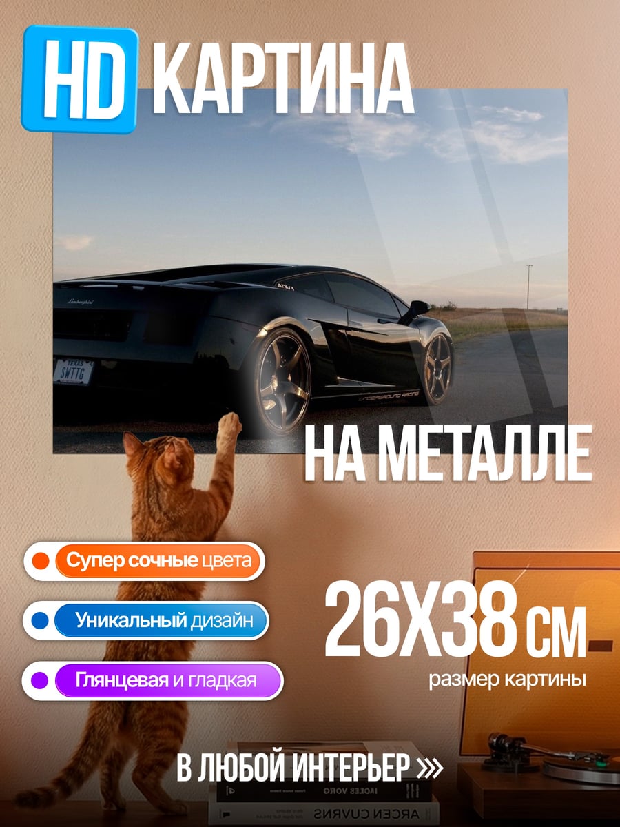 Картина на металле Черный спорткар на дороге