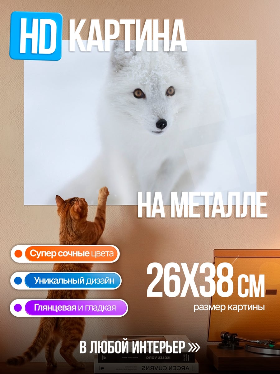 Картина на металле Белый песец в снегу