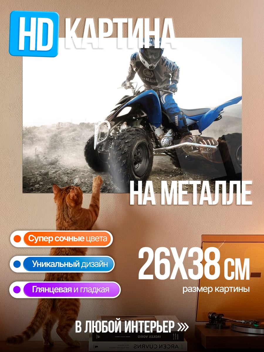 Картина на металле квадроцикл в грязи