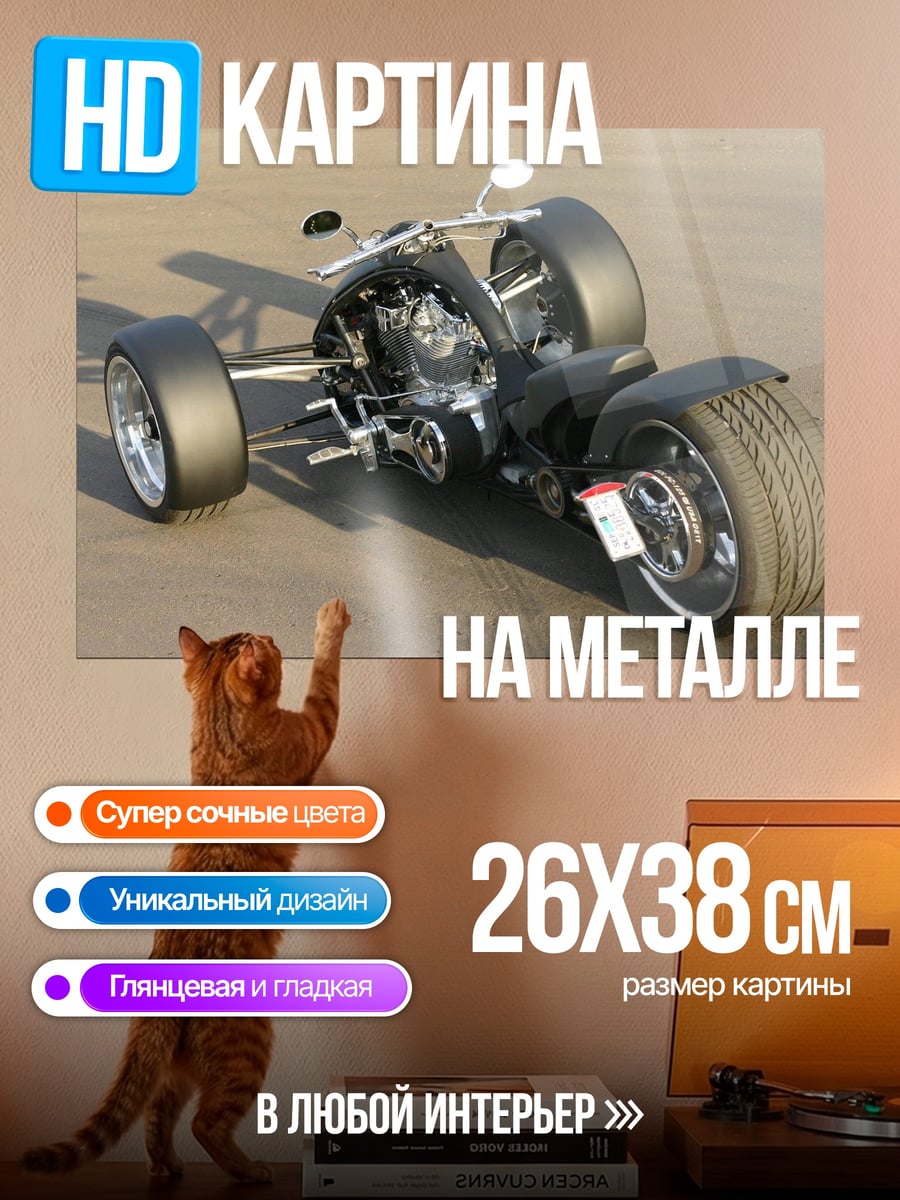 Картина на металле Чёрный трицикл байкера