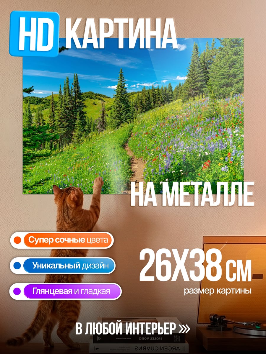 Картина на металле Летняя горная тропа