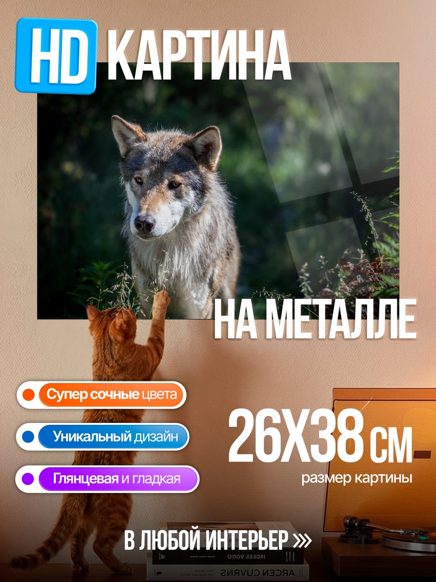 Картина на металле Лесной Волк Одиночка