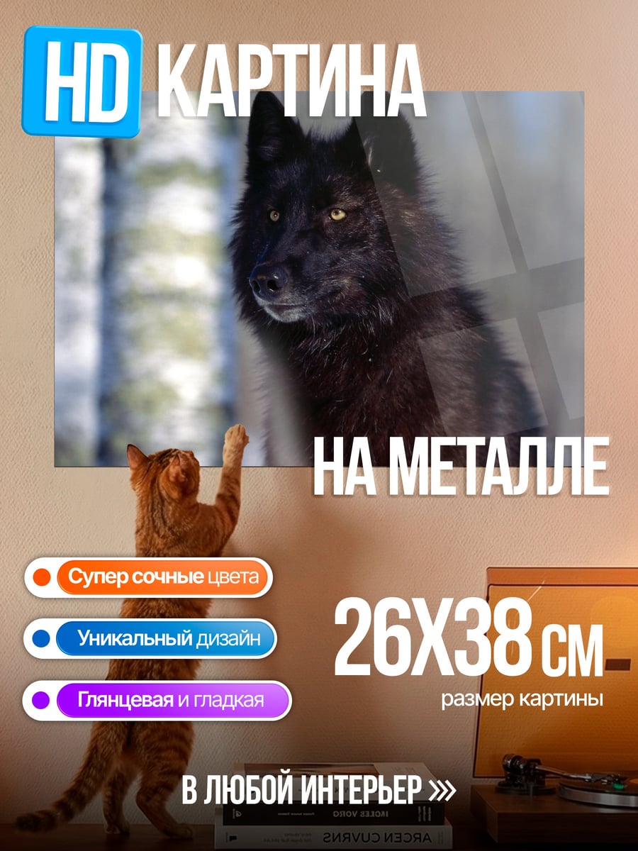 Картина на металле Черный Волк Зимы