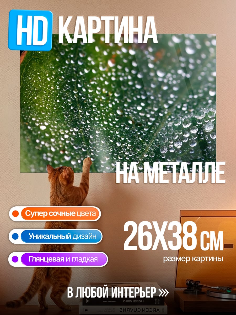 Картина на металле Капли На Листе