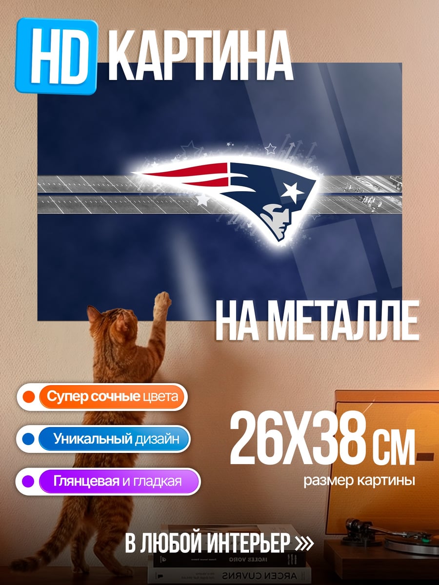 Картина на металле Логотип Patriots