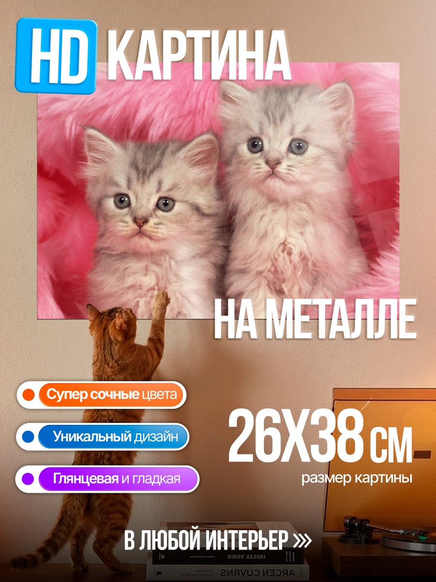 Картина на металле Два котенка