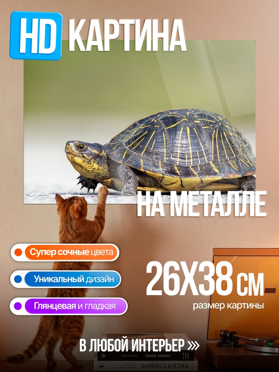 Картина на металле Черепаха на дороге