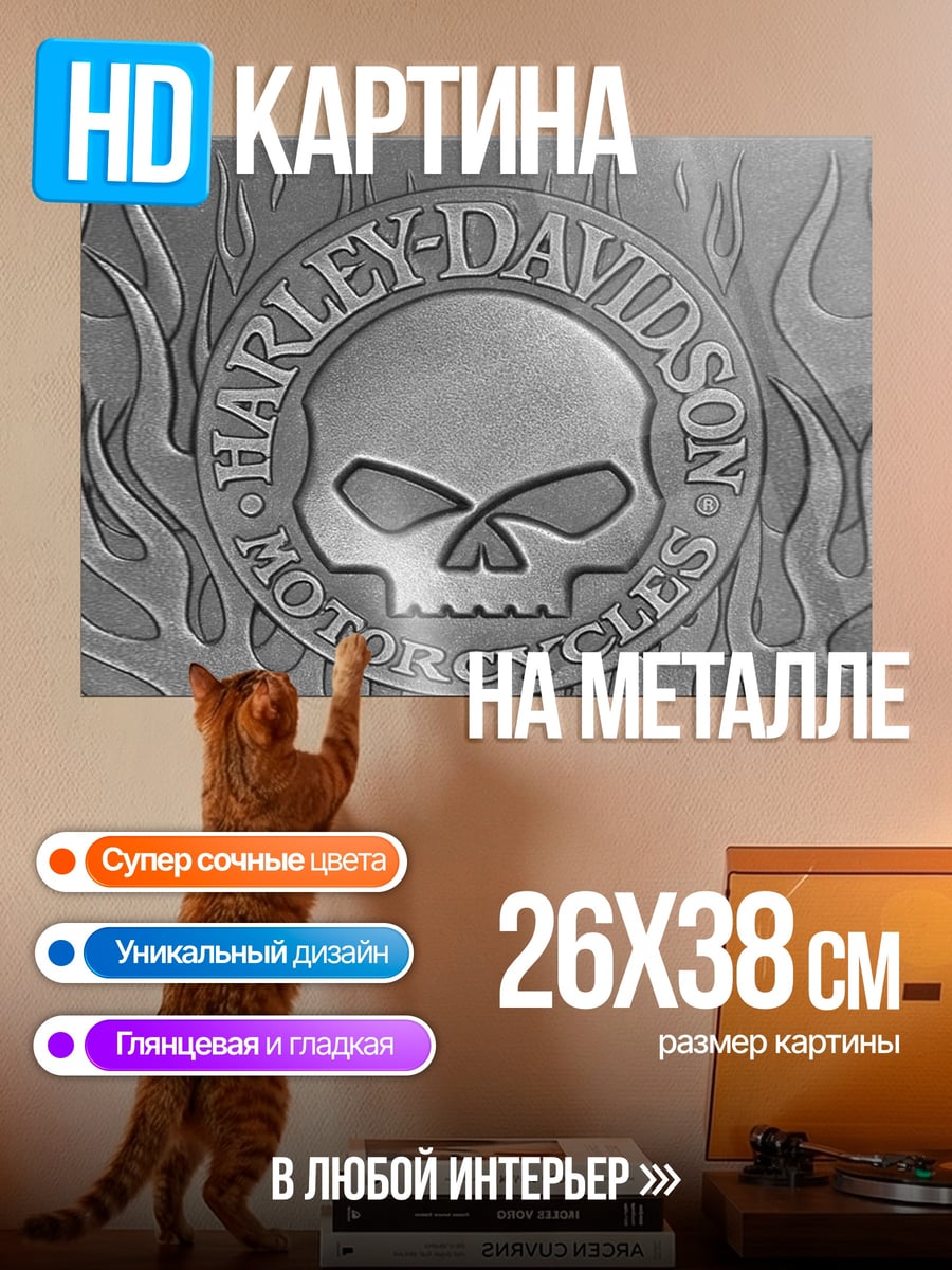 Картина на металле Логотип Harley Davidson