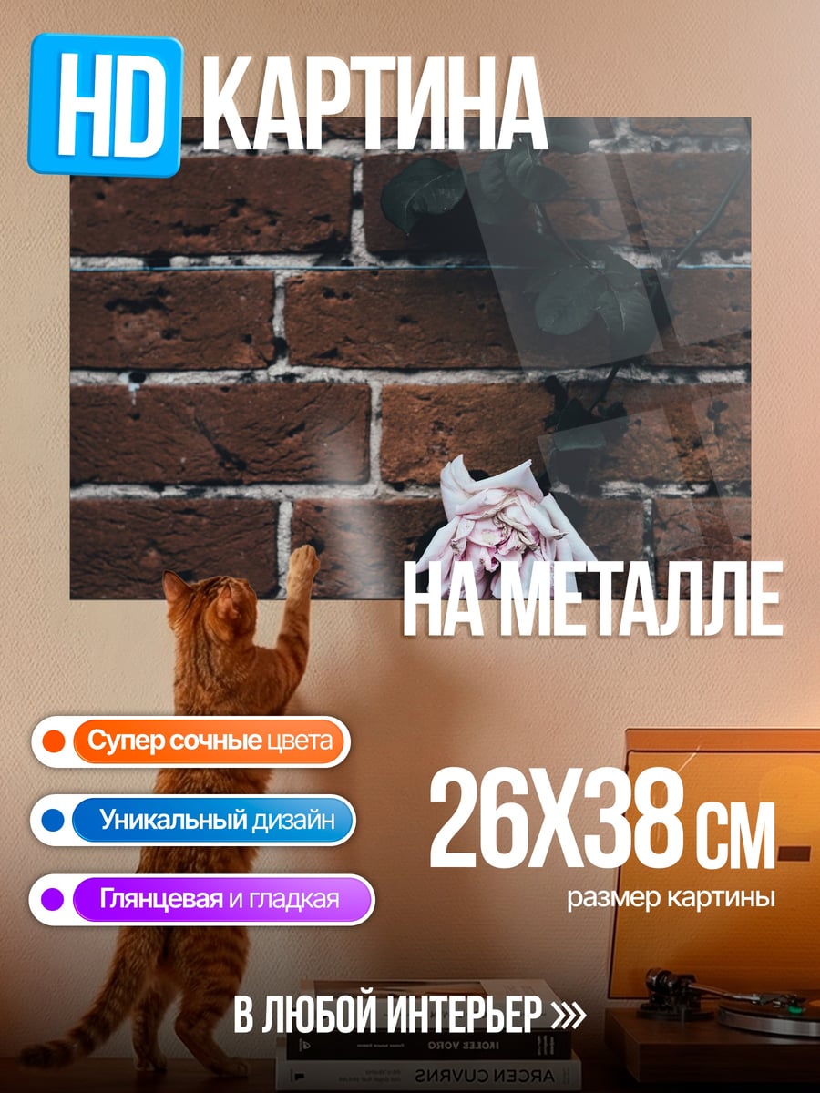 Картина на металле Роза на кирпичной стене