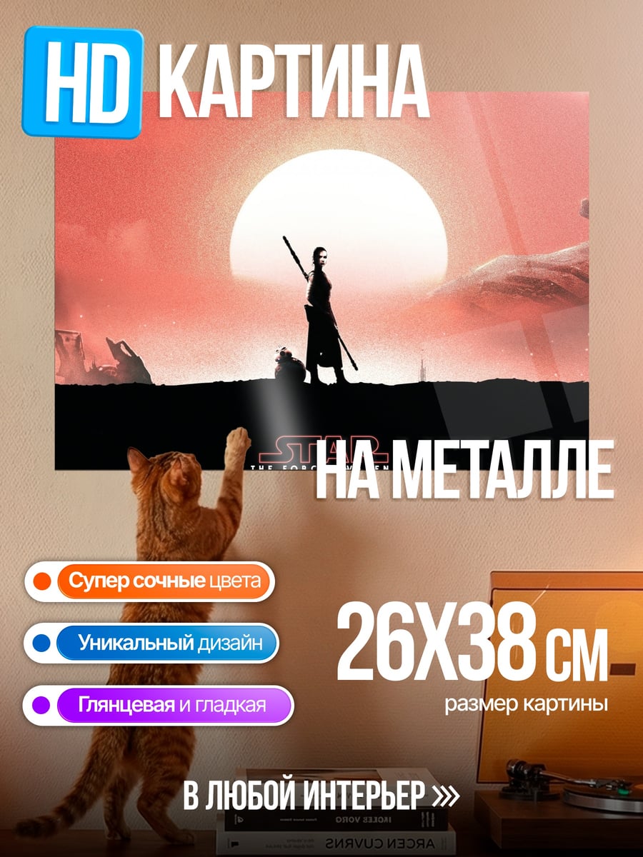 Картина на металле Звездные войны Рей
