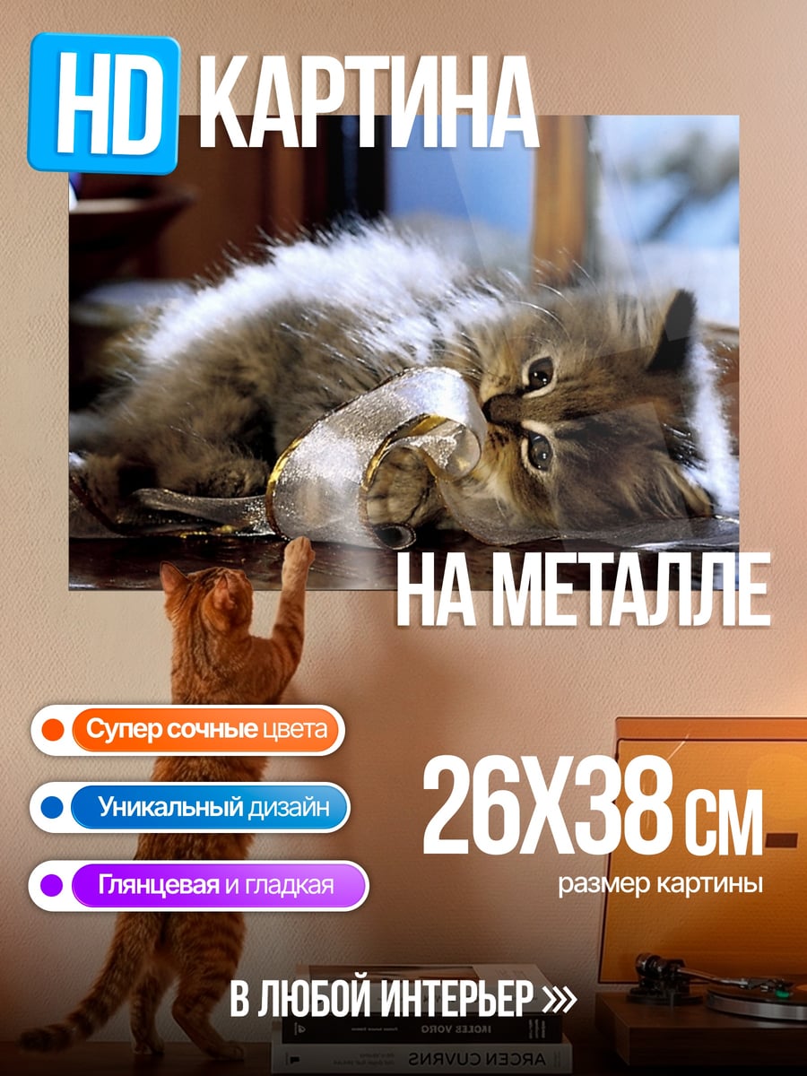 Картина на металле Пушистый котенок играет