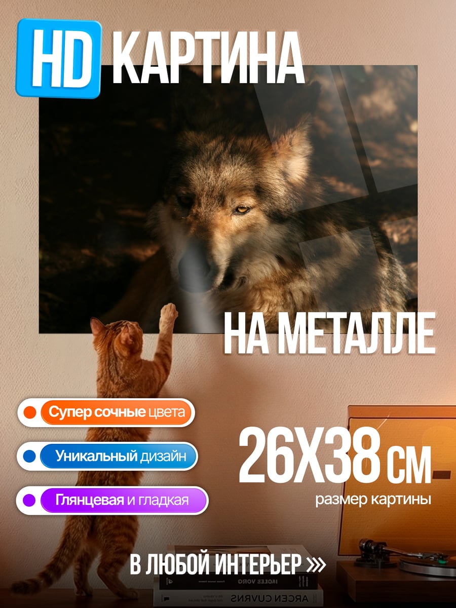 Картина на металле Лесной волк в тени