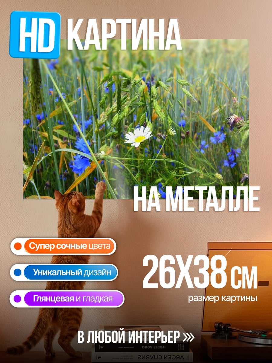 Картина на металле Поле с цветами