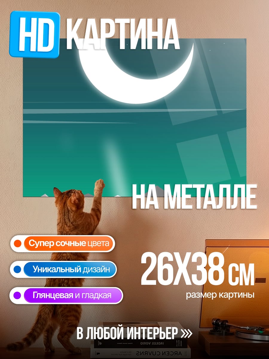 Картина на металле Девушка под луной