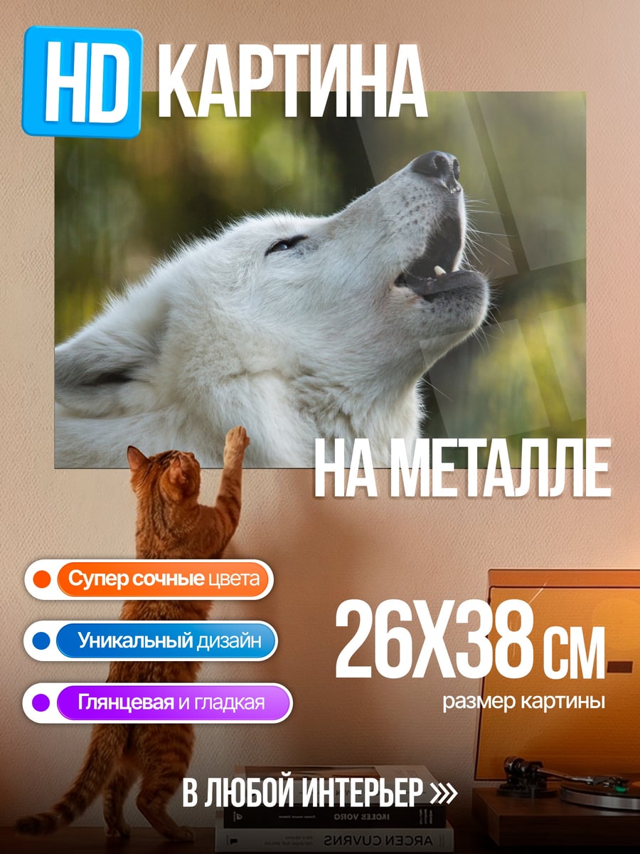Картина на металле белый волк